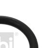 100x Febi Seal Ring, brake shoe 05019