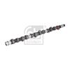 Febi Camshaft 05519