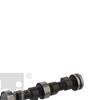 Febi Camshaft 08750