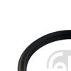 2x Febi Shaft Seal, wheel hub 09900