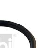 2x Febi Shaft Seal, wheel hub 09900