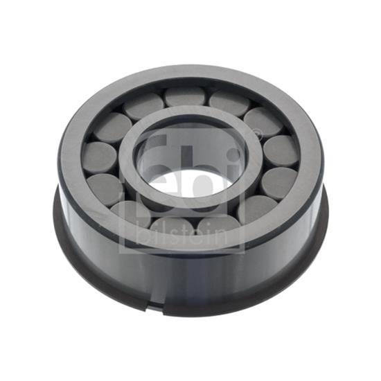 Febi Bearing 100673