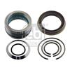 Febi Drivers Cab Tilt Cylinder Repair Kit 101045