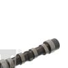 Febi Camshaft 103717