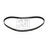 Febi Timing Cam Belt 10963