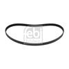 Febi Timing Cam Belt 10972