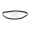 Febi Timing Cam Belt 10979