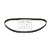 Febi Timing Cam Belt 11008