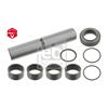 Febi Suspension Kingpin Repair Kit 11480