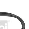 Febi Door Seal 170773