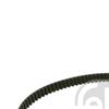 Febi Timing Cam Belt 17219