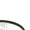 Febi Timing Cam Belt 17219