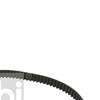 Febi Timing Cam Belt 17221