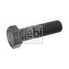 Febi Pulley Bolt 17230