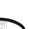 Febi Timing Cam Belt 173885