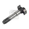 Febi Drum Brake Shaft 174142