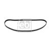 Febi Timing Cam Belt 17479