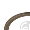 2x Febi Wheel Bearing Dust Cover Plate 17548