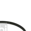 Febi Timing Cam Belt 17625