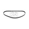 Febi Timing Cam Belt 17654