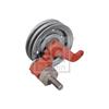 Febi Belt Tensioner V-ribbed belt 176669