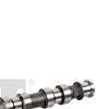 Febi Camshaft 176837