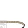 Febi Timing Cam Belt 177421