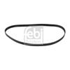 Febi Timing Cam Belt 17763