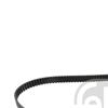 Febi Timing Cam Belt 17763