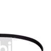 Febi Timing Cam Belt 17765