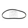 Febi Timing Cam Belt 17813