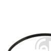 Febi Timing Cam Belt 17813