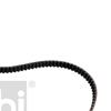 Febi Timing Cam Belt 17815