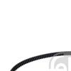 Febi Timing Cam Belt 179403