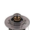 Febi Antifreeze Coolant Thermostat 17978