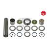 Febi Suspension Kingpin Repair Kit 18998