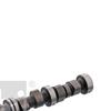 Febi Camshaft 19246