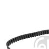 Febi Timing Cam Belt 19365