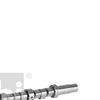 Febi Camshaft 19395