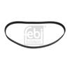 Febi Timing Cam Belt 19546