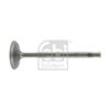 Febi Engine Inlet Valve 19637