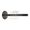 Febi Engine Inlet Valve 19970