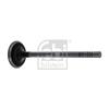 Febi Engine Inlet Valve 21000