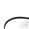 Febi Timing Cam Belt 21272