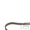 Febi Timing Cam Belt 21718