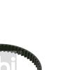 Febi Timing Cam Belt 21768