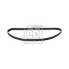 Febi Timing Cam Belt 21776