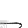 Febi Timing Cam Belt 21776