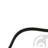 Febi Timing Cam Belt 21865