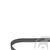 Febi Timing Cam Belt 21868